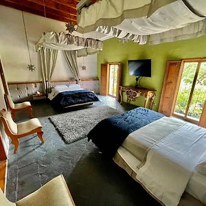 Duplex Suite